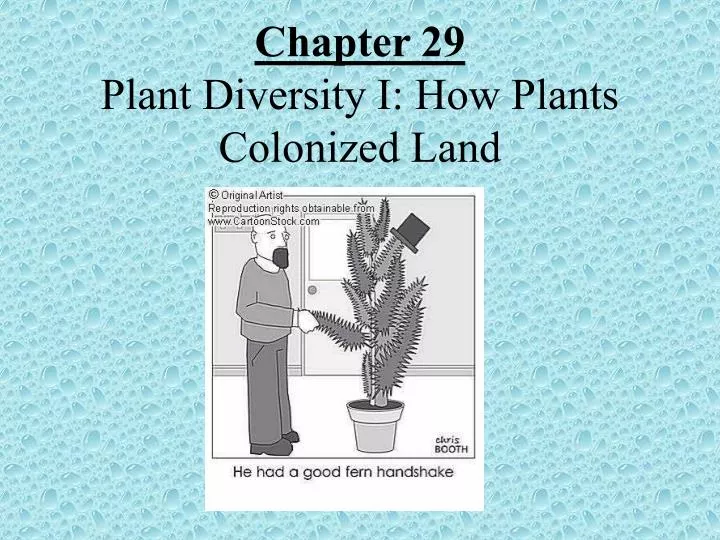 chapter 29 plant diversity i how plants colonized land