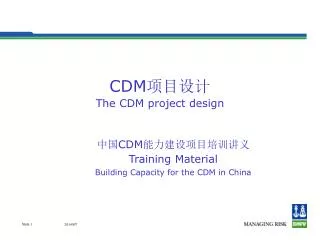 CDM ???? The CDM project design