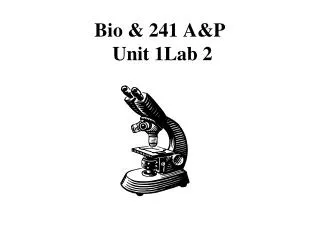 Bio &amp; 241 A&amp;P Unit 1Lab 2
