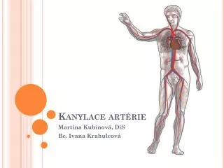 kanylace art rie