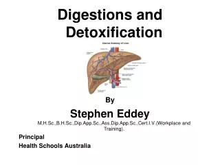 Digestions and Detoxification By