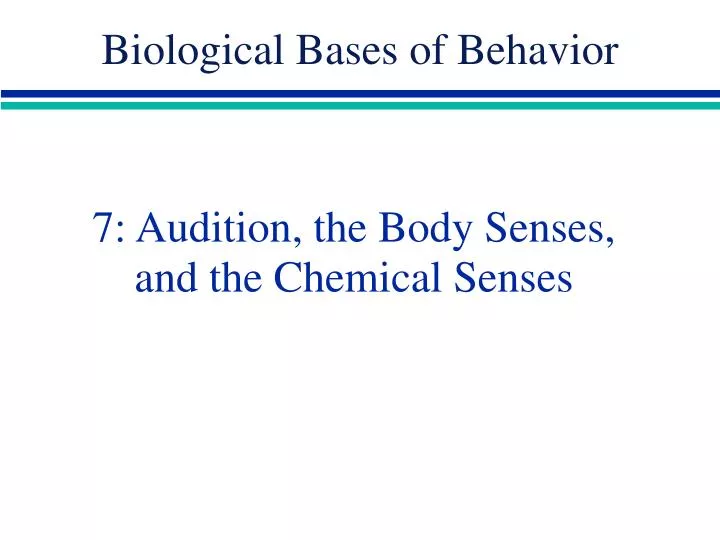 7 audition the body senses and the chemical senses