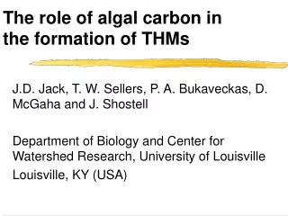 The role of algal carbon in the formation of THMs