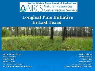 Mary Webb-Marek Zone Forester USDA-NRCS Bryan, Texas tx.nrcsda