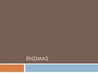 enzimas