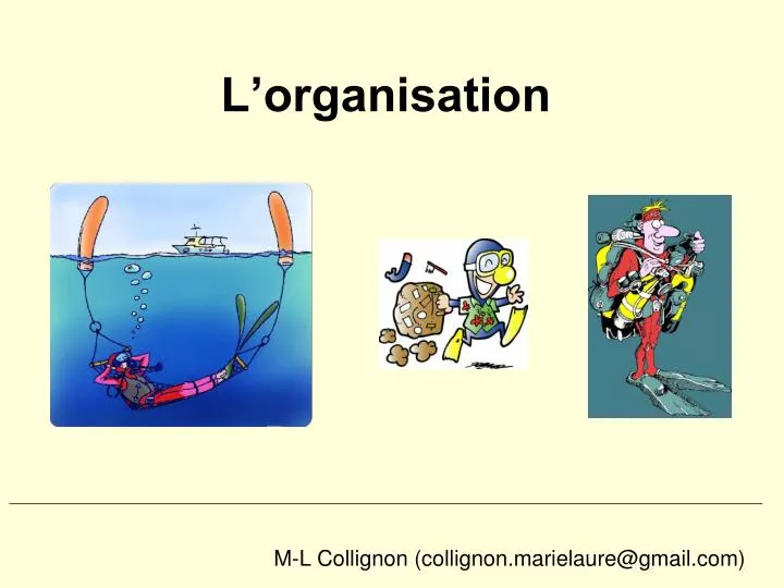 l organisation