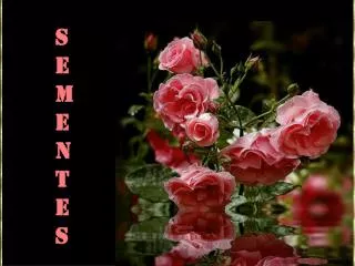 s e m e n t e s