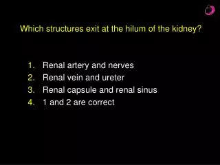Which structures exit at the hilum of the kidney?