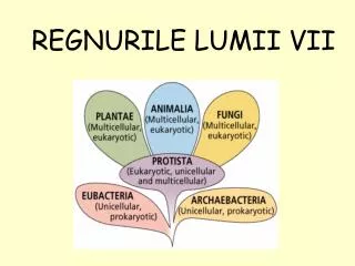 regnurile lumii vii