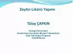 Tülay ÇAPKIN - slide 1