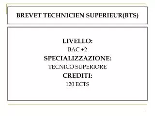 brevet technicien superieur bts