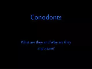 Conodonts