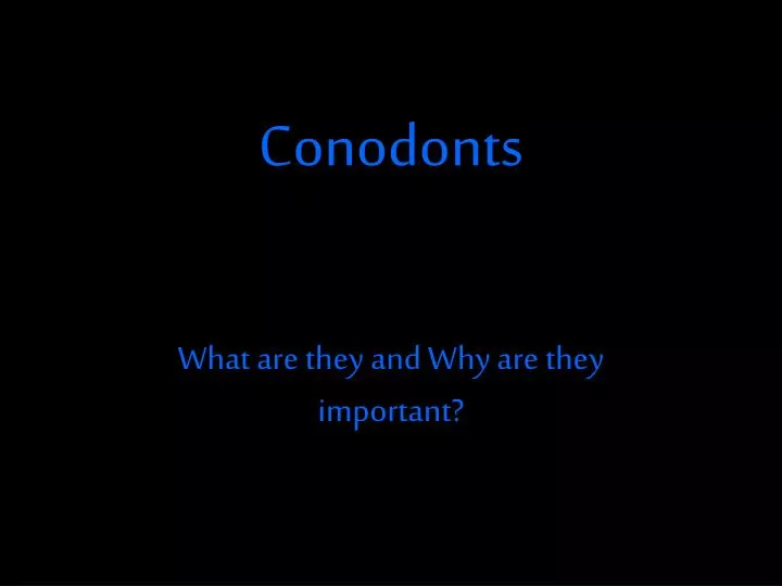 conodonts