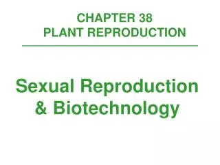 CHAPTER 38 PLANT REPRODUCTION