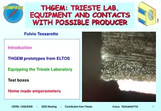 THGEM: TRIESTE LAB. EQUIPMENT AND CONTACTS WITH POSSIBLE PRODUCER
