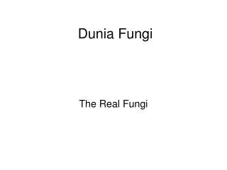 dunia fungi
