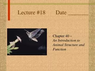 Lecture #18		Date _______