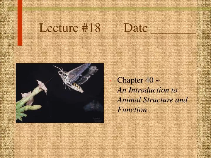 lecture 18 date