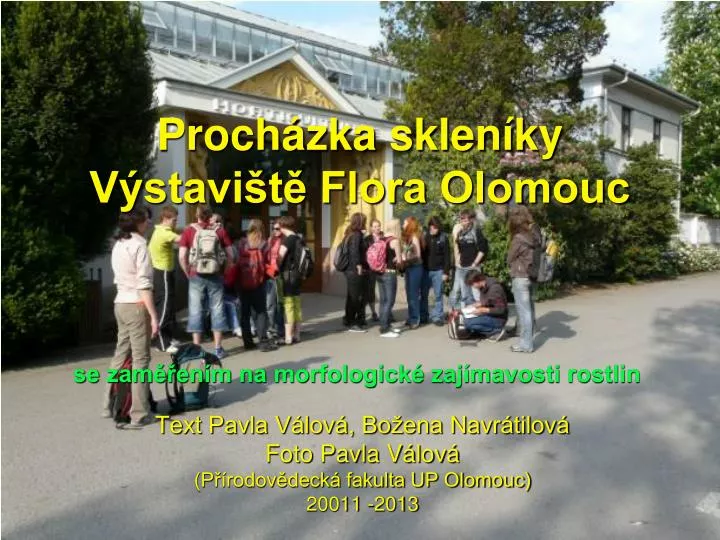 proch zka sklen ky v stavi t flora olomouc