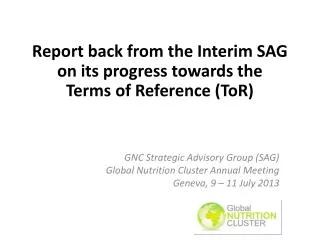 Report back from the Interim SAG on its progress towards the Terms of Reference ( ToR )