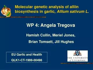 Molecular genetic analysis of alliin biosynthesis in garlic, Allium sativum L.