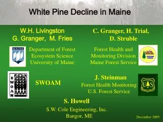 White Pine Decline in Maine