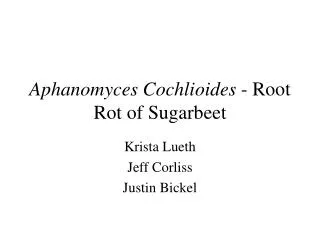 Aphanomyces Cochlioides - Root Rot of Sugarbeet