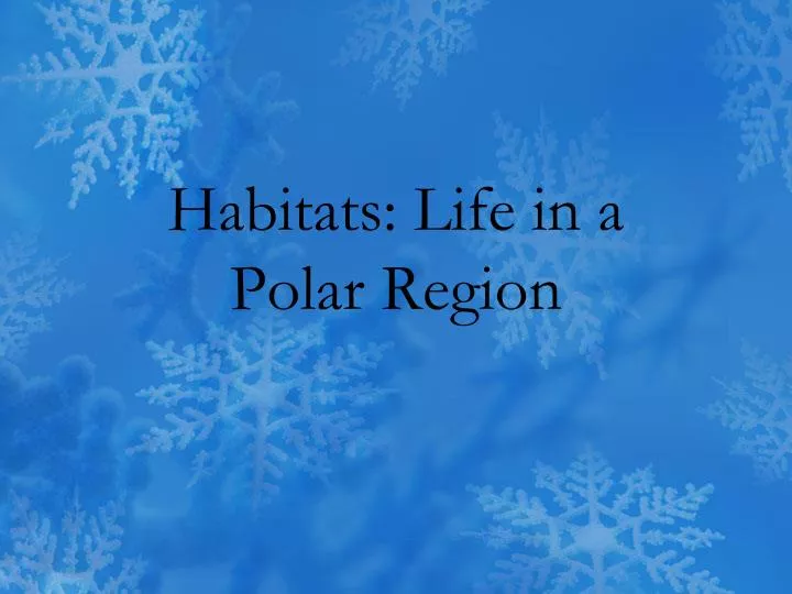 habitats life in a polar region