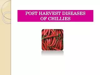 POST HARVEST DISEASES OF CHILLIES