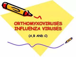 ORTHOMYXOVIRUSES INFLUENZA VIRUSES