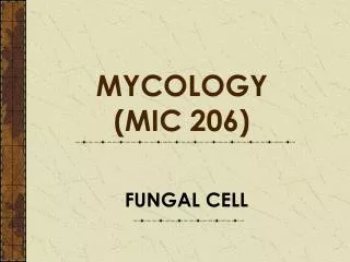 FUNGAL CELL