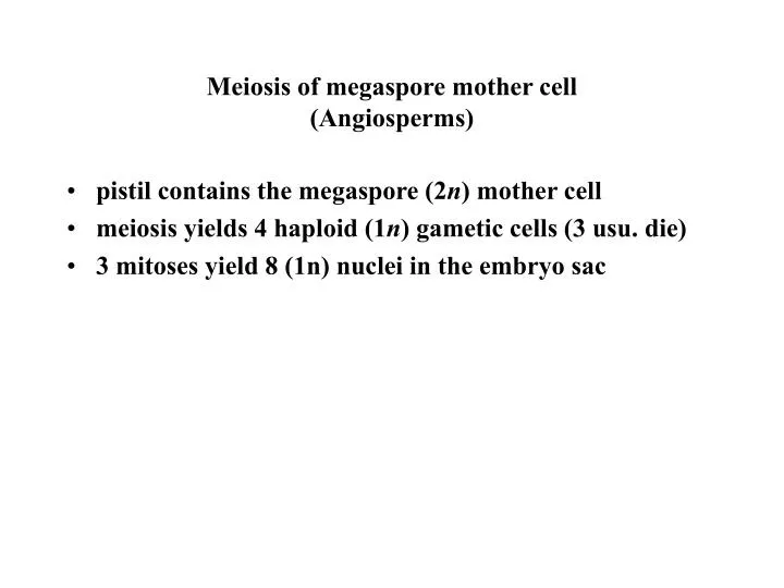 meiosis of megaspore mother cell angiosperms