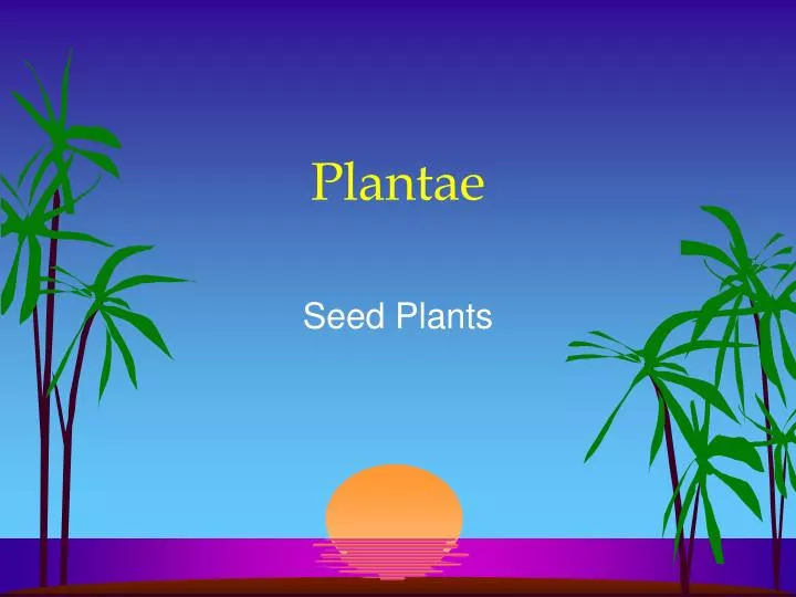 plantae