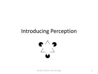 Introducing Perception