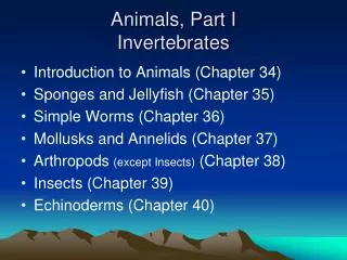 Animals, Part I Invertebrates