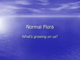 Normal Flora