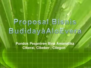 proposal bisnis budidaya a loevera