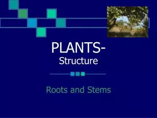 PLANTS- Structure