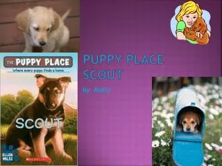 Puppy Place Scout