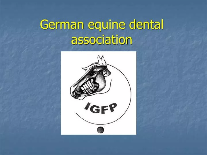 german equine dental association