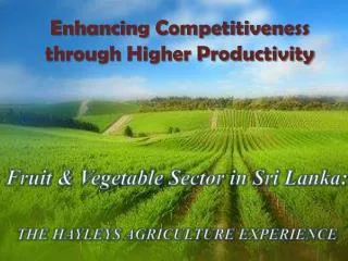 Enhancing Competitiveness through Higher Productivity