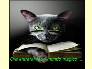 ora entrerai in un mondo magico