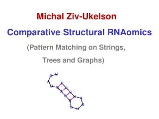 Michal Ziv-Ukelson Comparative Structural RNAomics (Pattern Matching on Strings,