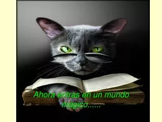 ahora entras en un mundo m gico