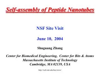 Self-assembly of Peptide Nanotubes NSF Site Visit June 10, 2004 Shuguang Zhang