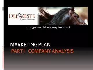 Marketing Plan Part I Company Analysis
