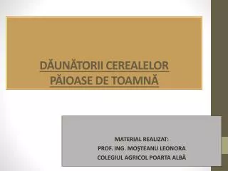 d un torii cerealelor p ioase de toamn