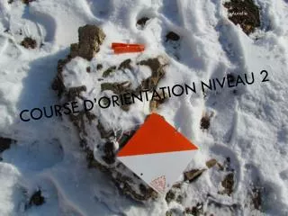 course d orientation niveau 2