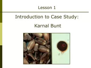 Lesson 1 Introduction to Case Study: Karnal Bunt