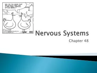 Nervous Systems